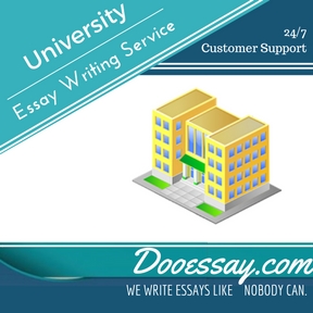University Essay Writing Service