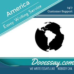 professional custom essay writing service