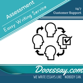 Assessment Essay Writing Service