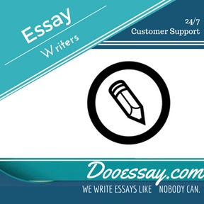 Essay Writer