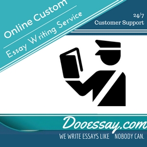 Online custom essay writing service