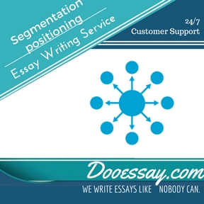 Segmentation positioning Essay Writing Services